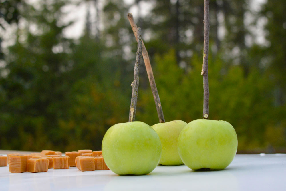 homemade caramel apples fall snack