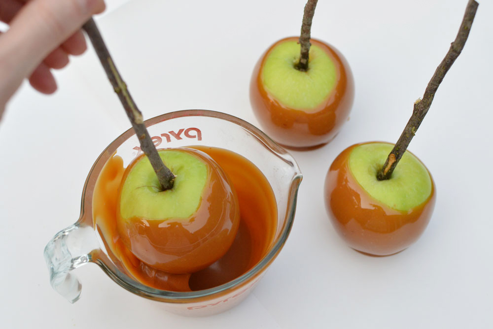 dip each apple into melted caramel to make homemade caramel apples