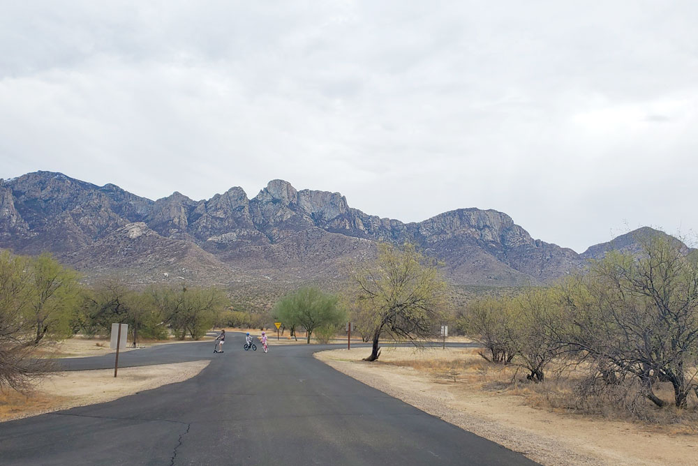 Catalina State Park campground in Arizona