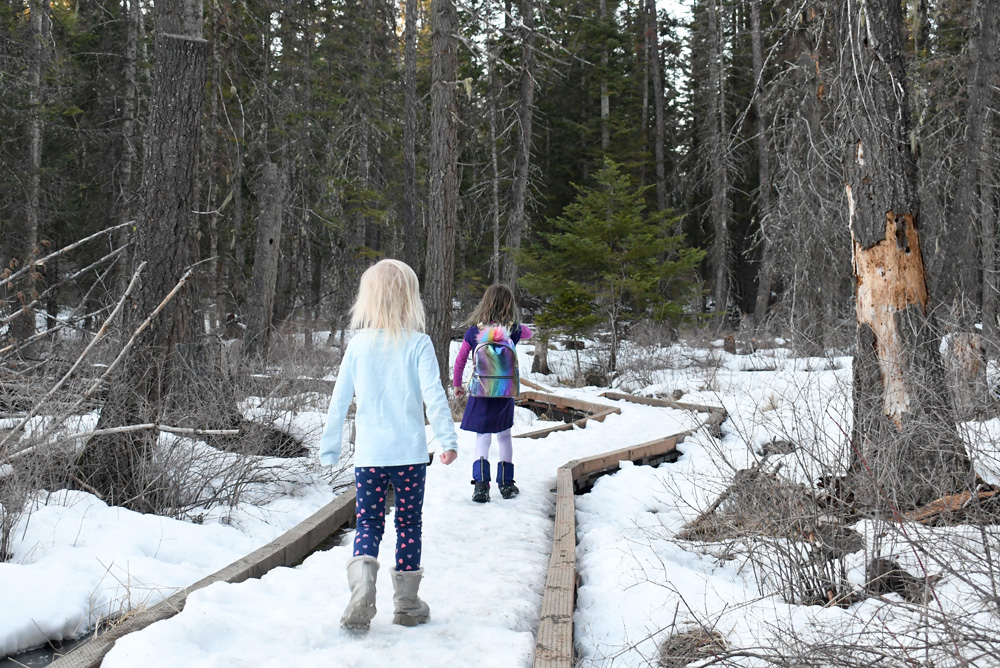 English Point recreation area family hike in Hayden, Idaho