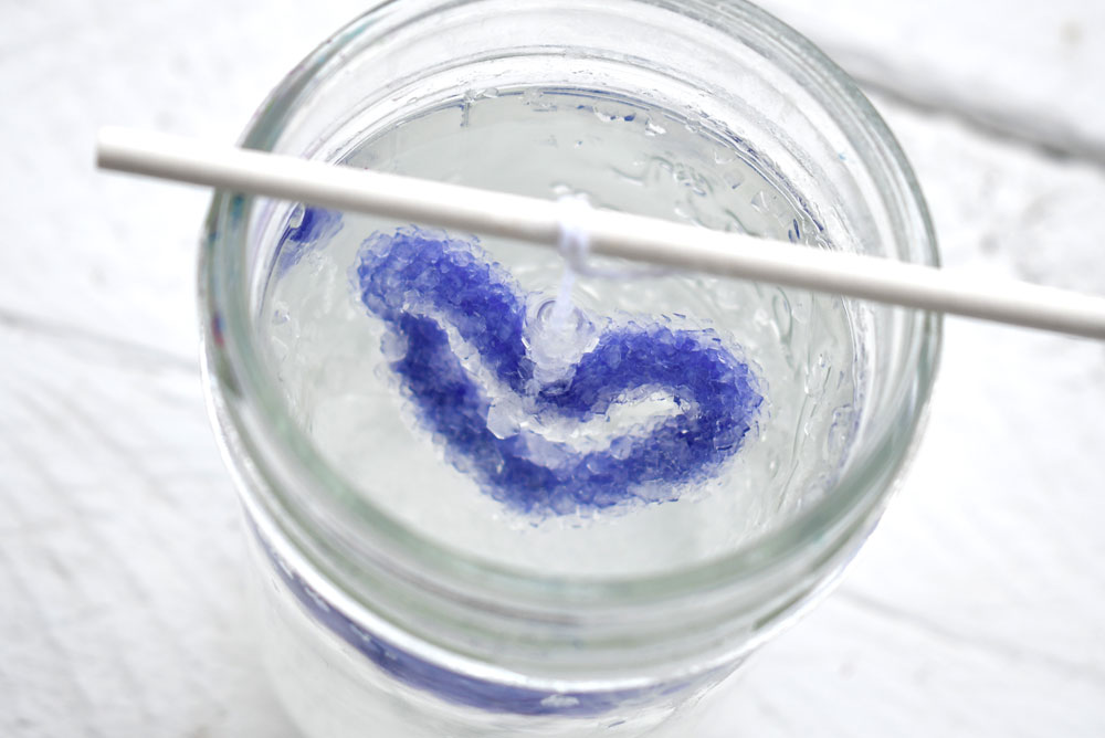 kids science project grow crystals