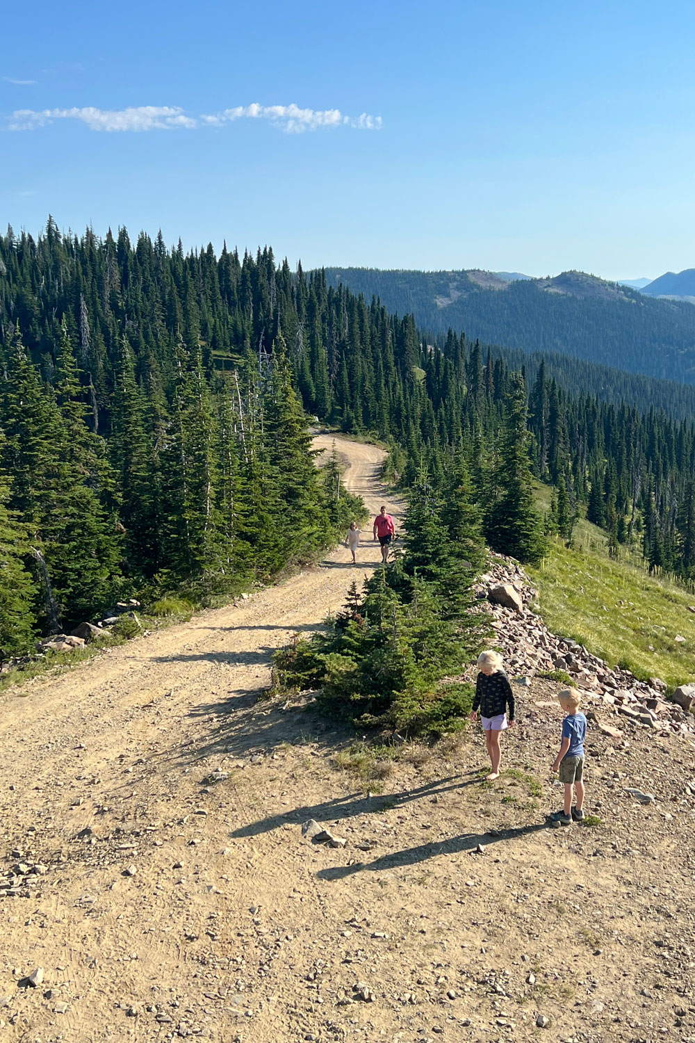 gravel road leading to a fire lookout in Idaho