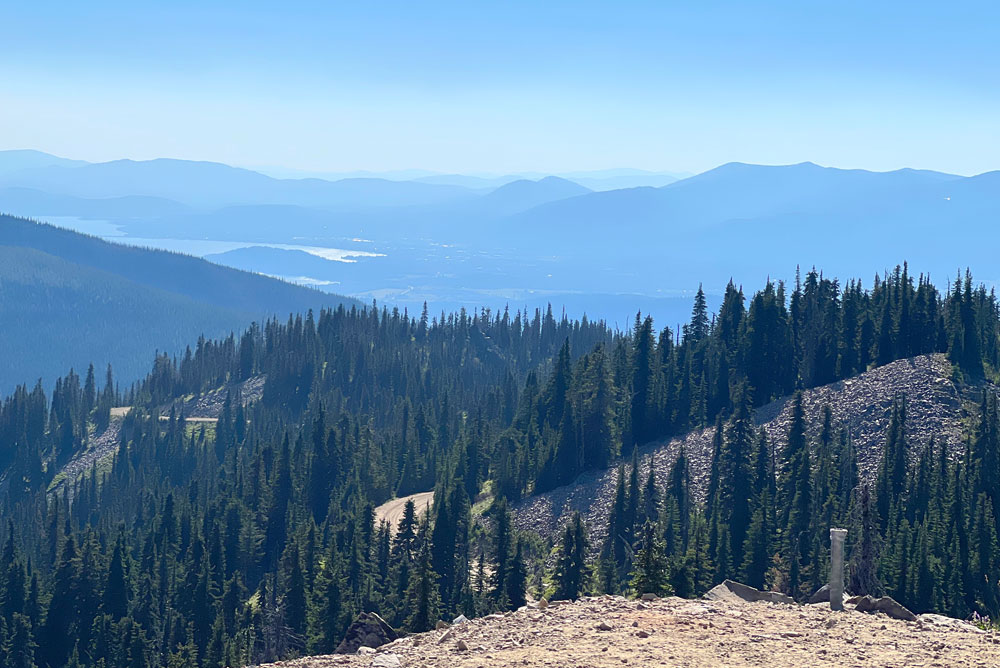 forest views from Lunch Peak lookout