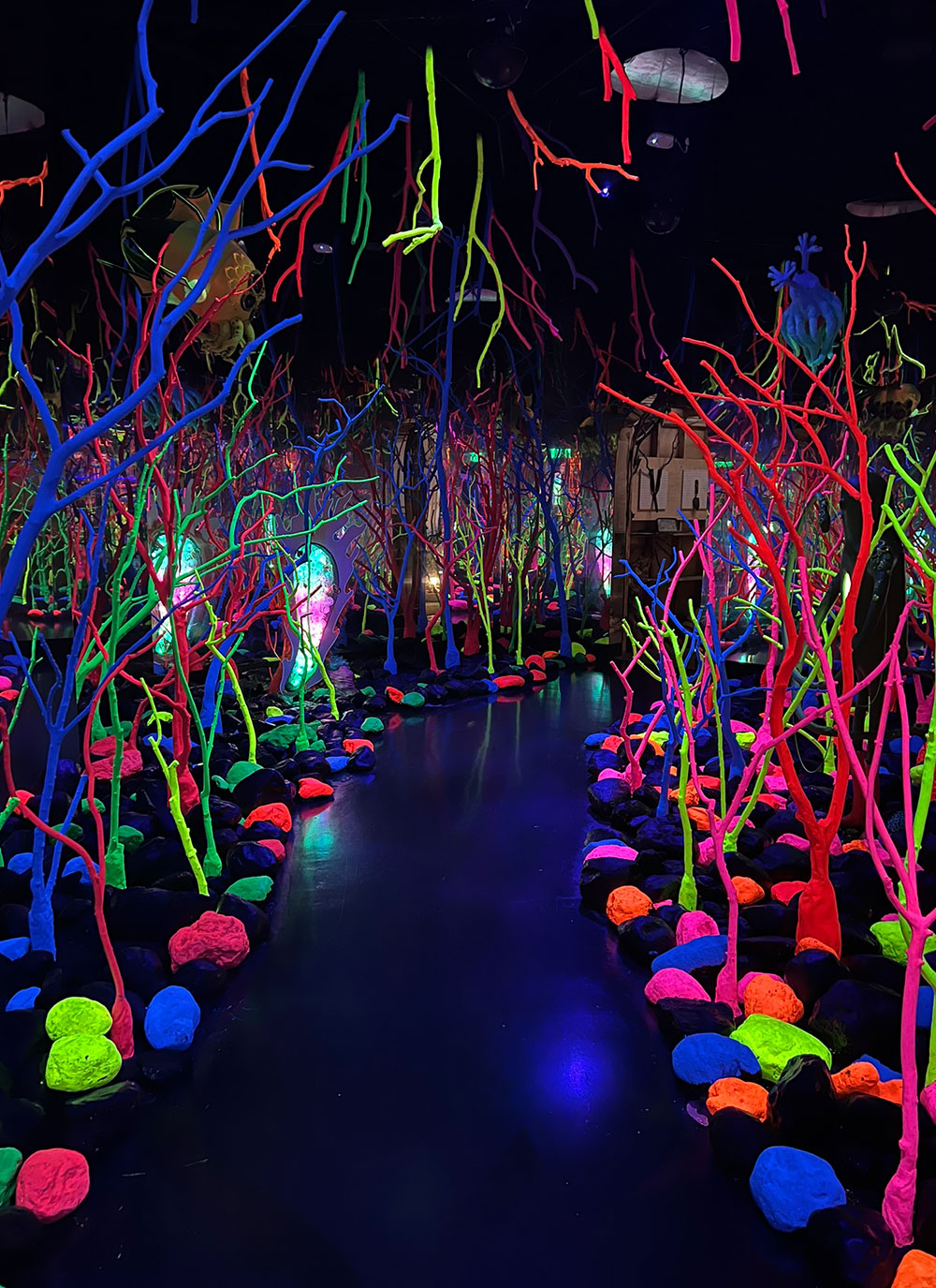 neon forest strange art meow wolf visit with kids