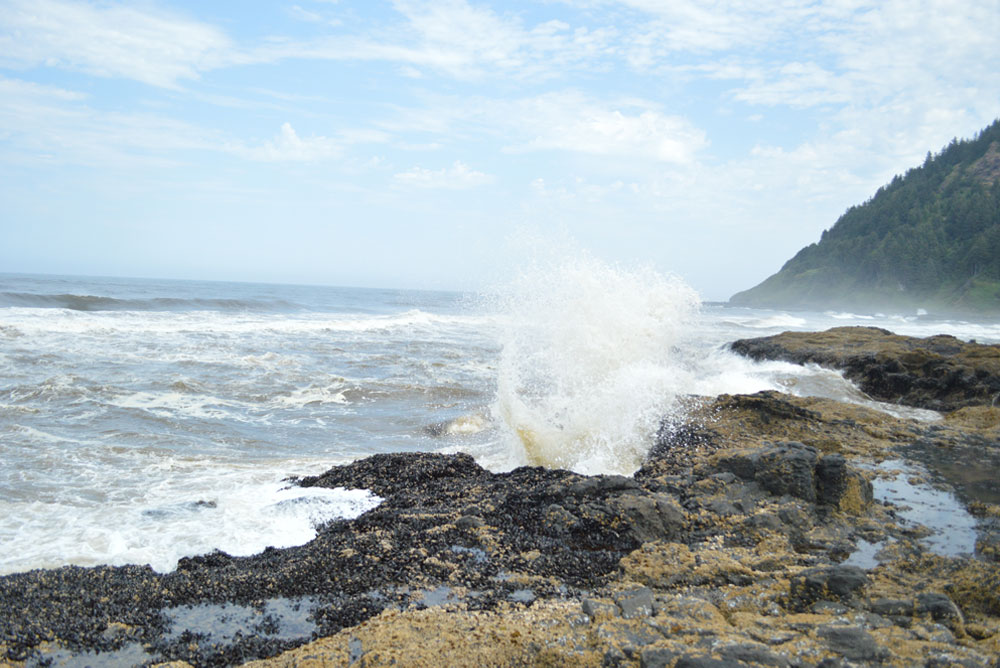 Oregon coast family vacation tide pools