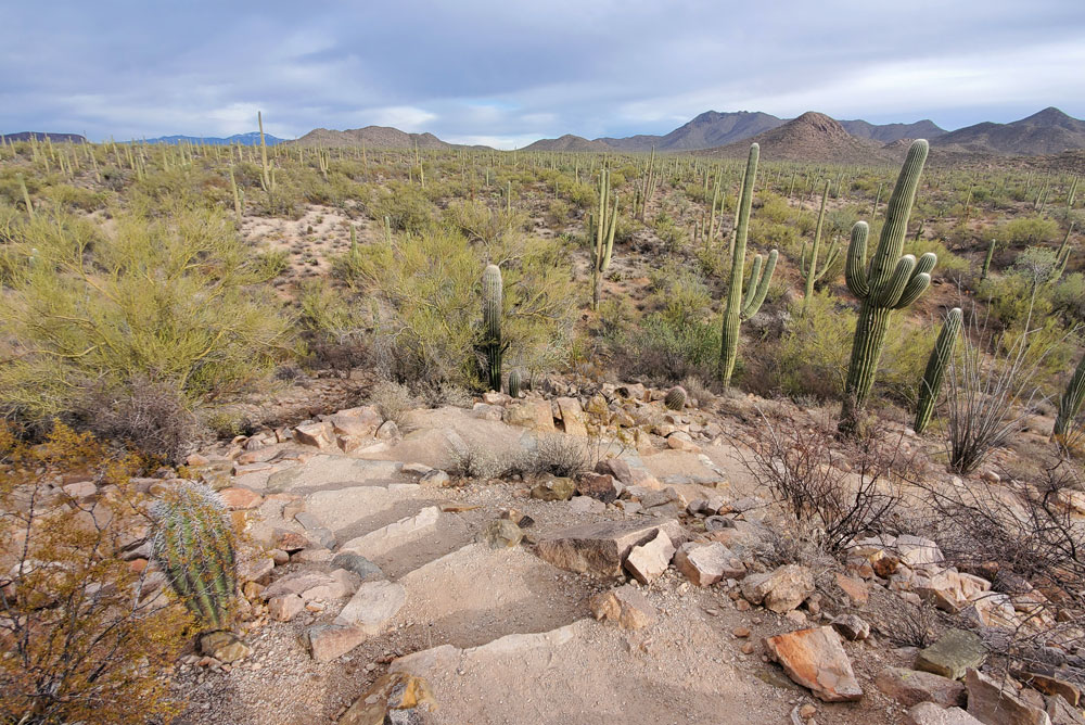 Stone steps at Saguaro National Park