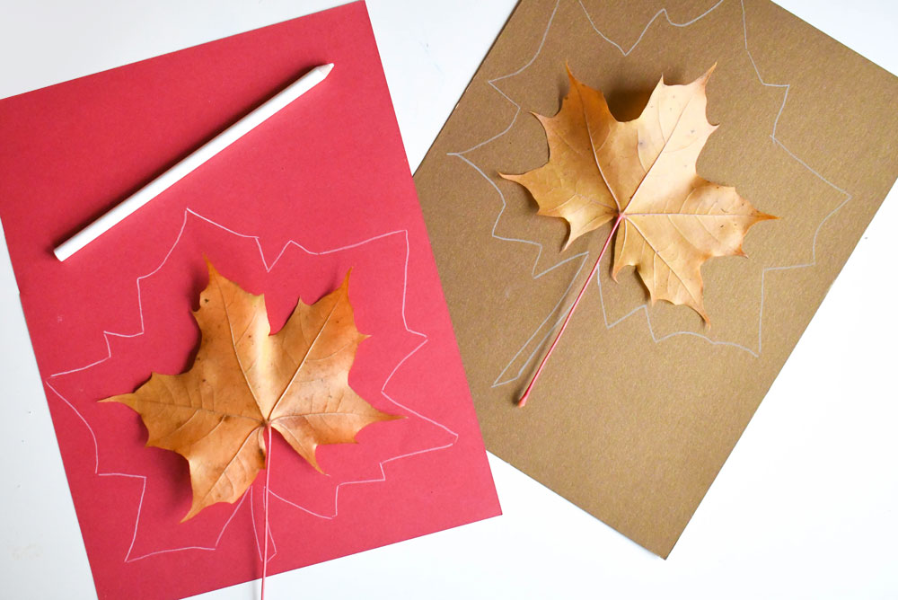 trace around real leaves and cut out the shapes