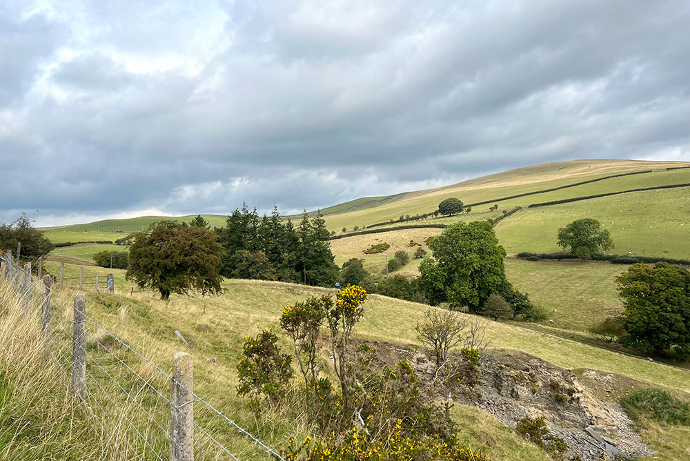 Wales countryside with fields bordered by hedges
