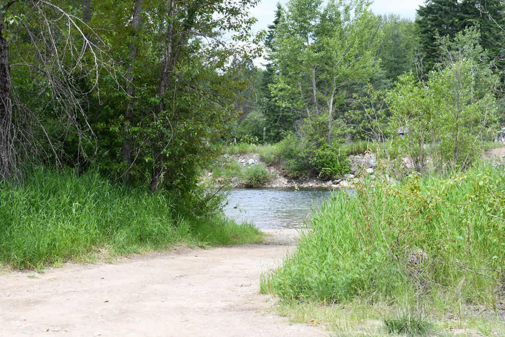 Huckleberry Campground convenient access to the St. Joe River