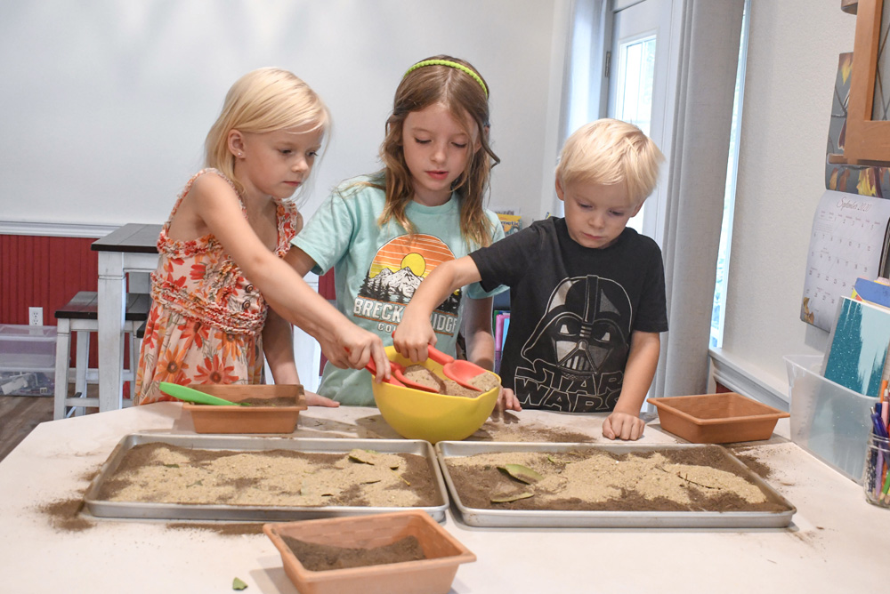 easy kids fossil science activity