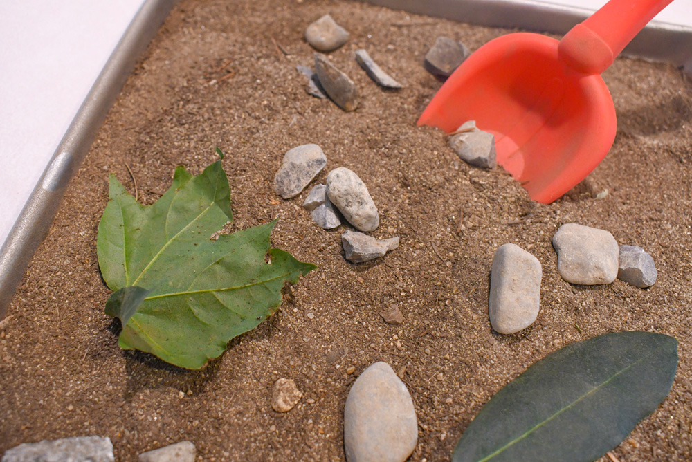 DIY kids homeschool science activity about fossils