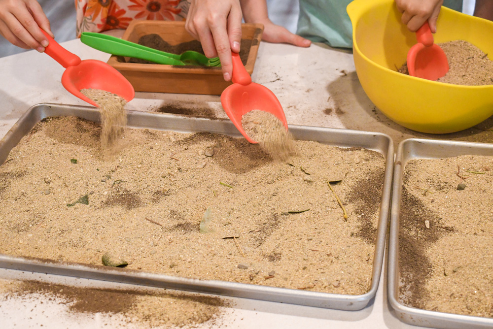 teach kids about fossils creative homeschool activity