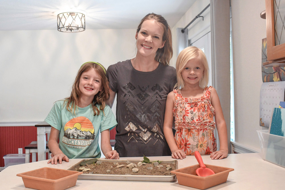 creative kids activity homeschool science flora fossils