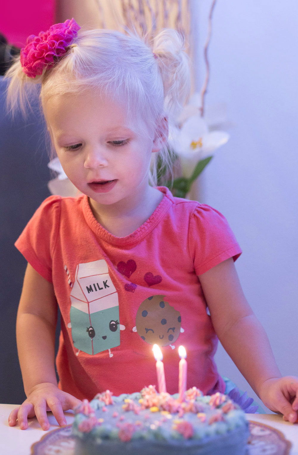 two year old birthday party cake