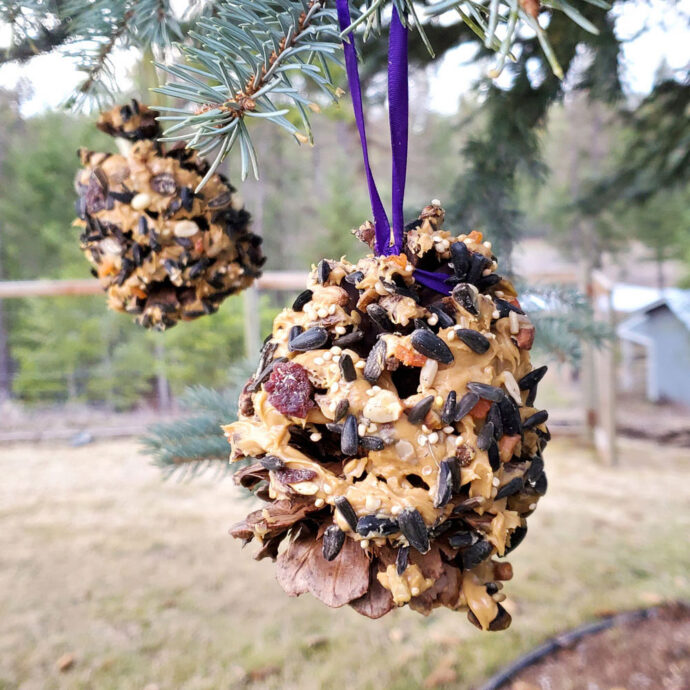 DIY Pinecone Bird Feeders